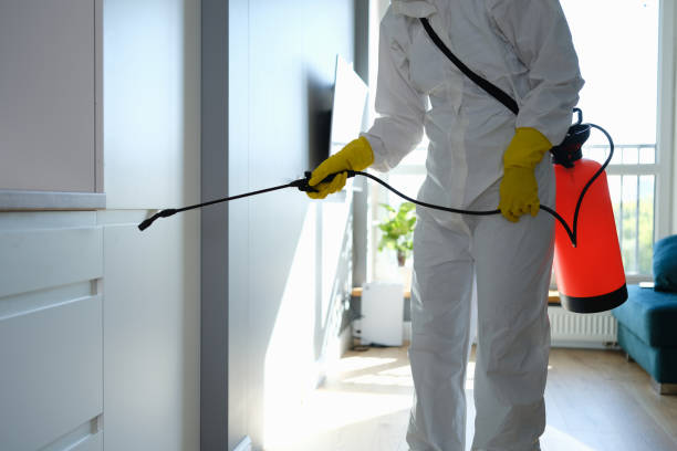 Best Toxic Mold Removal  in Bylas, AZ